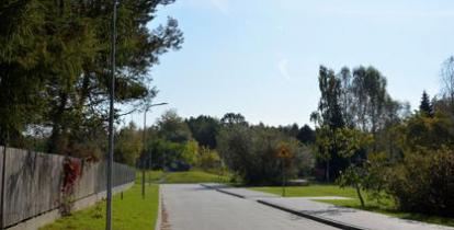Ulica: po prawej stronie jest chodnik, a po lewej trawnik i płot. Za nim drzewa.