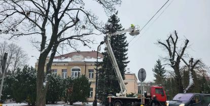 Duża choinka, na której mężczyźnie zawieszają lampki.