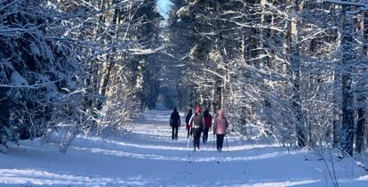 Postacie widziane z oddali. Grupa osób bioraca udział w zajęciach nordic walking. Panuje zima.