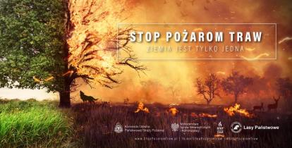 Grafika wektorowa. Plakat promujący kampanię społeczną „Stop pożarom traw”. 