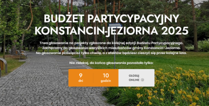Grafika budżet