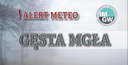 Napis gęsta mgła na tle pola pokrytego mgłą.