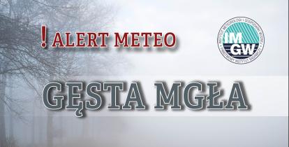 Napis gęsta mgła na tle pola pokrytego mgłą.