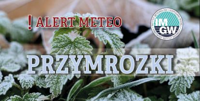 Na górze czerwony napis meteo alert poprzedzony wykrzyknikiem. Obok niego logo Instytutu Meteorologii i Gospodarki Wodnej - niebieski okrąg z białymi literami IMGW, poniżej błękitny napis burze. W tle fragment oszronionych liści.