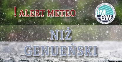 Na górze czerwony napis meteo alert poprzedzony wykrzyknikiem. Obok niego logo Instytutu Meteorologii i Gospodarki Wodnej – niebieski okrąg z białymi literami IMGW, poniżej niebieski niż genueński. W tle zielony las oraz lekko wzburzona woda.
