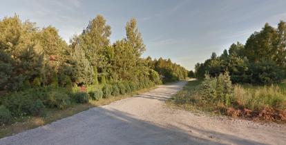 Droga szutrowa w Czarnowie.