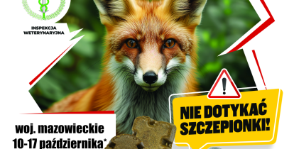 plakat przedstawiający dorosłego lisa, informujący o szczepieniach 