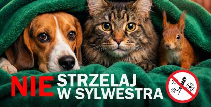 Na grafice widać psa, kota i wiewiórkę skulone pod zielonym kocem, z hasłem „Nie strzelaj w Sylwestra”, które apeluje o rezygnację z fajerwerków ze względu na dobro zwierząt.