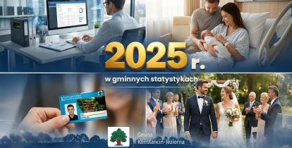 Grafika statystyki 2025