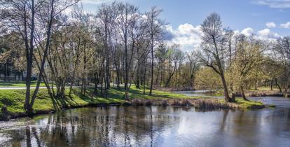 drzewa i rzeka w parku