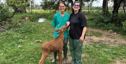 fot. Fundacja Kopytka 