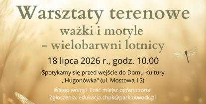 Grafika motyle