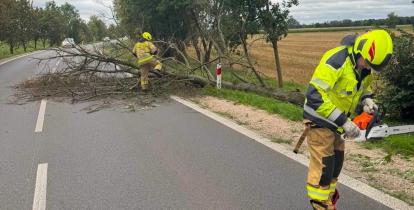 Dwóch strażaków usuwa powalone drzewo blokujące drogę. Jeden z nich przygotowuje pilarkę, a drugi stoi przy konarach leżących na jezdni