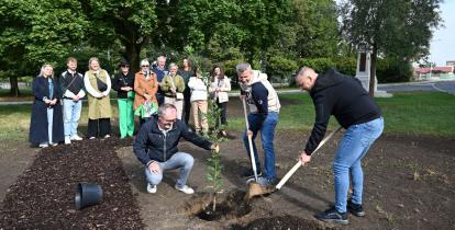 Delegacje z Hranic i Konstancina-Jeziorny sadzą sadzonkę dębu.