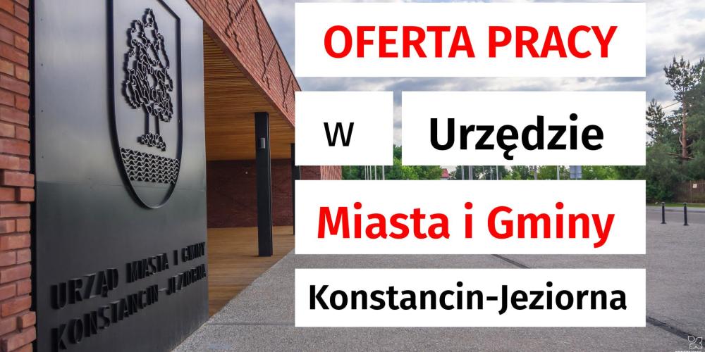 Grafika dot. oferty pracy