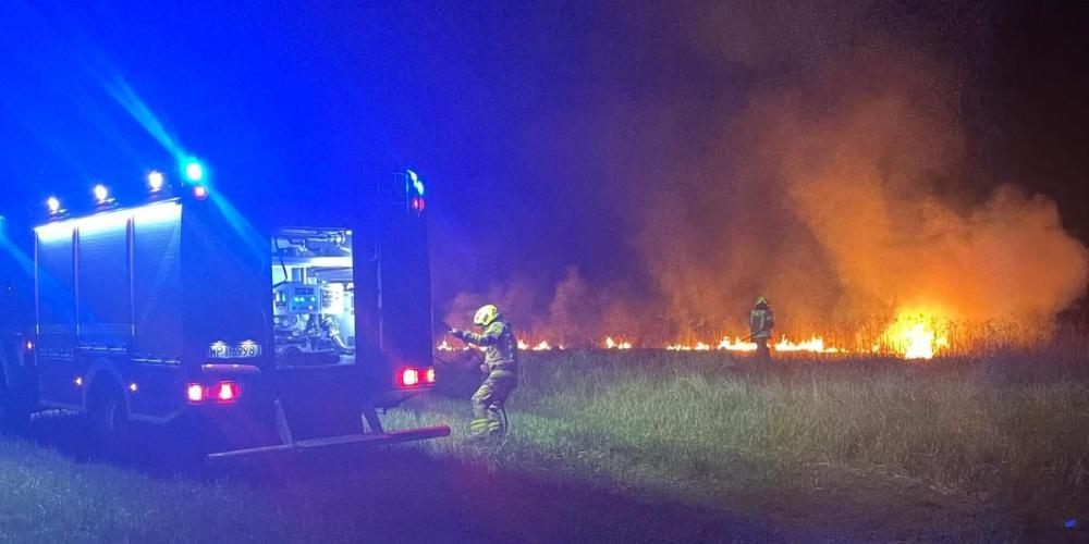 Jeden strażak ubrany w strój bojowy dogasza pożar traw i łąk. 