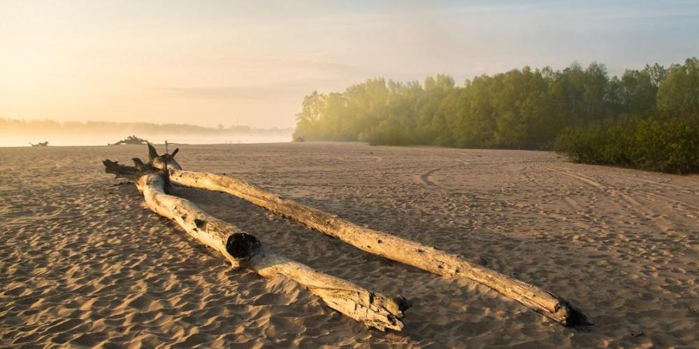 Plaża w tle las i rzeka.