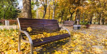 Zdjęcie wykonane w jesienny dzień w Parku Zdrojowym i przedstawia aleje spacerową usłaną żółtymi liśćmi. Widoczne są dwie puste ławki, na których mogą spocząć turyści.   