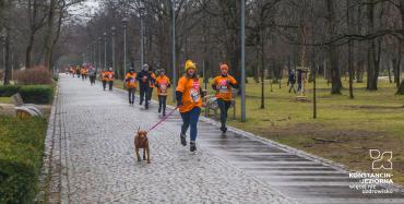 Brukowana aleja w parku. Po bokach ławki. Aleją biegnie kobieta w pomarańczowej koszulce a z nią biegnie średniej wielkości pies na smyczy. Za nimi w rzędzie biegnie grupa podobnie ubranych ludzi. W tle liczne drzewa.