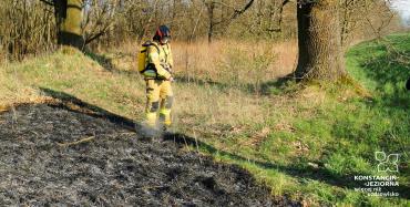 Jeden strażak ubrany w strój bojowy dogasza pożar traw i łąk. 