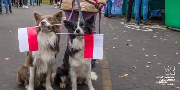 Obchody 11 listopada