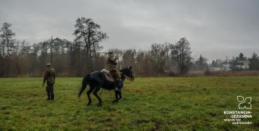 Obchody 11 listopada