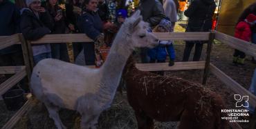 Jarmark Świąteczny