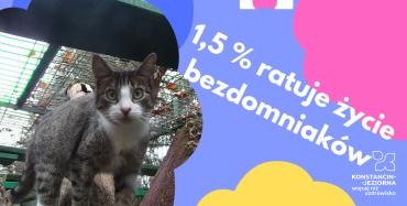 Przekaż 1.5% na fundacje 2026