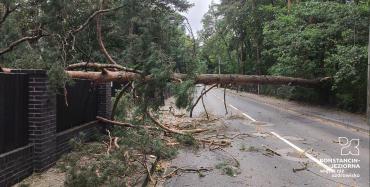 Interwencje OSP