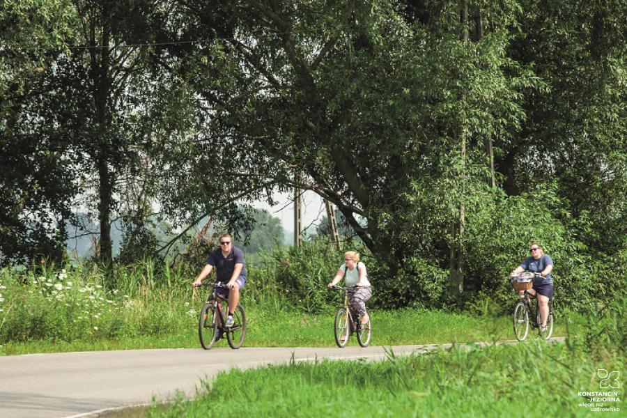 Three cyclists on a country road, green trees around