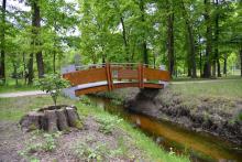 Drewniany mostek w parku, zdjęcie ilustrujące opisaną w artykule sytuację
