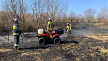 Trzech strażaków ubranych w stroje bojowe dogasza pożar traw i łąk. 