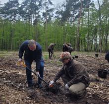 Dwóch mężczyzn, jeden pochylony z łopata, drugi kuca i trzyma sadzonkę drzewka. Za nimi inni ludzie oraz  drzewa.