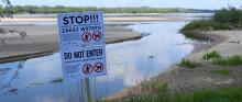 Tabliczka z napisem: Stop. Zakaz wstępu. Za nią widać rzekę i plażę przy jej brzegach.