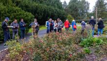 Grupa ludzi stoi przy krzewach i ogłada róże