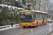 Ośnieżony autobus jedzie ulicą, w tle drzewa i krzewy.