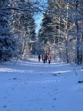 Postacie widziane z oddali. Grupa osób bioraca udział w zajęciach nordic walking. Panuje zima.