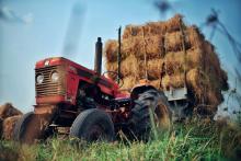 Traktor na polu uprawnym.