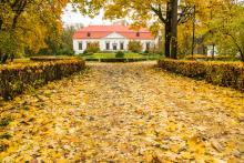 zabytkowy zespół pałacowo-parkowy w Oborach