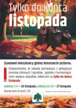 Grafika liście