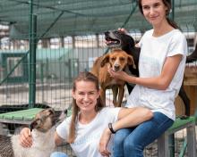 Do adopcji grafika