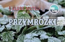 Na górze czerwony napis meteo alert poprzedzony wykrzyknikiem. Obok niego logo Instytutu Meteorologii i Gospodarki Wodnej - niebieski okrąg z białymi literami IMGW, poniżej błękitny napis burze. W tle fragment oszronionych liści.
