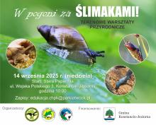 Plakat W pogoni za ślimakami, w tle ślimak na liściu.