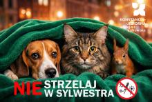 Na grafice widać psa, kota i wiewiórkę skulone pod zielonym kocem, z hasłem „Nie strzelaj w Sylwestra”, które apeluje o rezygnację z fajerwerków ze względu na dobro zwierząt.