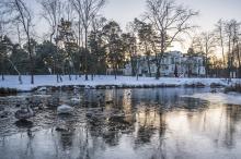 Zimowy widok stawu w Parku Zdrojowym z pływającymi łabędziami i kaczkami, otoczonego ośnieżonymi drzewami i zabudowaniami uzdrowiskowymi w tle.