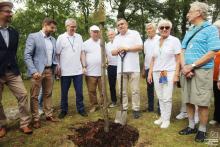 zdjęcie grupy seniorów sadzącej dąb