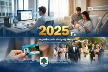 Grafika statystyki 2025