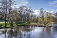 drzewa i rzeka w parku