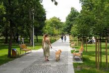 Kobieta prowadząca na smyczy psa w Parku Zdrojowym