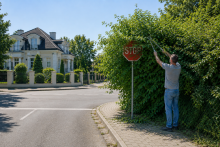 Mężczyzna przycina krzew zasłaniający znak STOP
